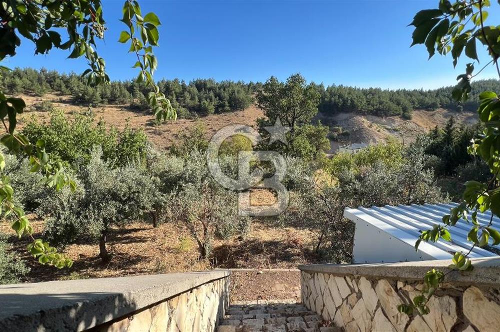 Pınarbaşı Kandil Mevkii'de 4 Dönüm Arsa ve Bağ Evi