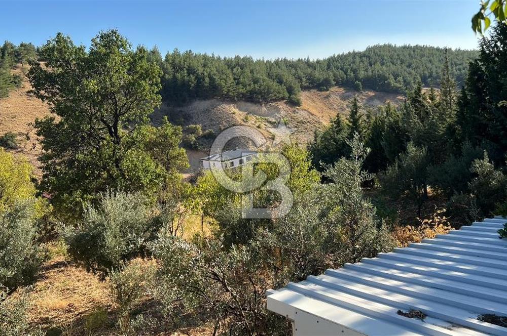 Pınarbaşı Kandil Mevkii'de 4 Dönüm Arsa ve Bağ Evi
