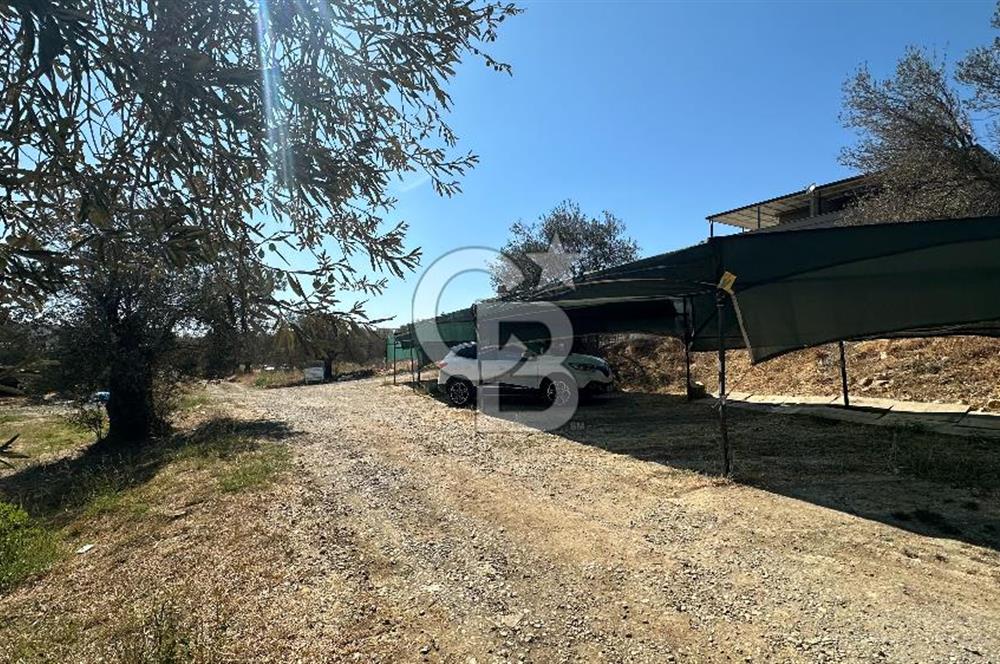Havuzlu Sitede Bahçeli Masrafsız 2+1 Satılık Daire