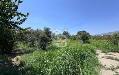 İZMİR MENEMEN YAHŞELLİDE EVİ VE BAHÇESİYLE EŞSİZ SATILIK ARSA