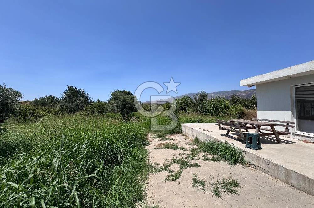İZMİR MENEMEN YAHŞELLİDE EVİ VE BAHÇESİYLE EŞSİZ SATILIK ARSA