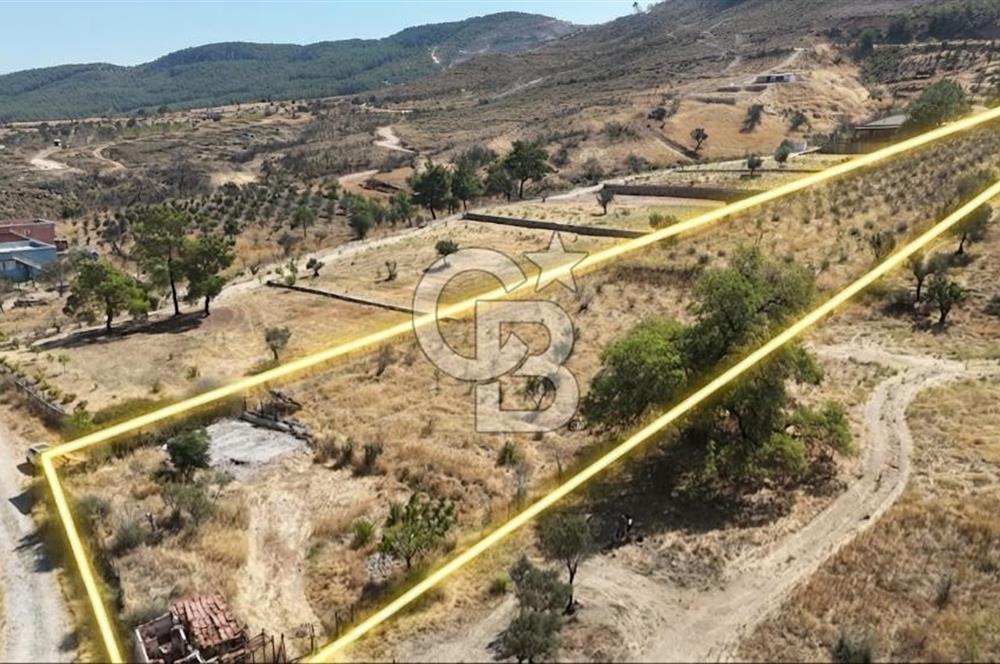 Orhanlıda 6.831m² Tek Tapu Düz Arazi Elektrik + Su