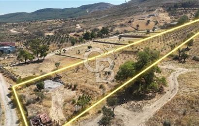 Orhanlıda 6.831m² Tek Tapu Düz Arazi Elektrik + Su