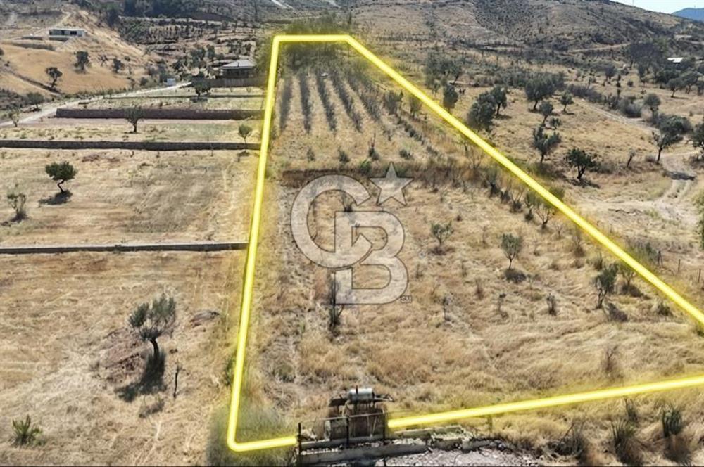 Orhanlıda 6.831m² Tek Tapu Düz Arazi Elektrik + Su