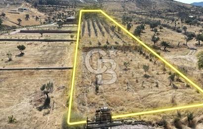 Orhanlıda 6.831m² Tek Tapu Düz Arazi Elektrik + Su