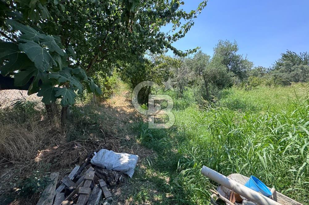 İZMİR MENEMEN YAHŞELLİDE EVİ VE BAHÇESİYLE EŞSİZ SATILIK ARSA