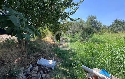 İZMİR MENEMEN YAHŞELLİDE EVİ VE BAHÇESİYLE EŞSİZ SATILIK ARSA