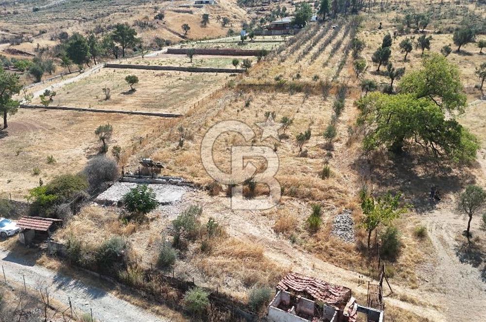 Orhanlıda 6.831m² Tek Tapu Düz Arazi Elektrik + Su