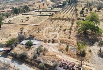 Orhanlıda 6.831m² Tek Tapu Düz Arazi Elektrik + Su - 6 - 373362