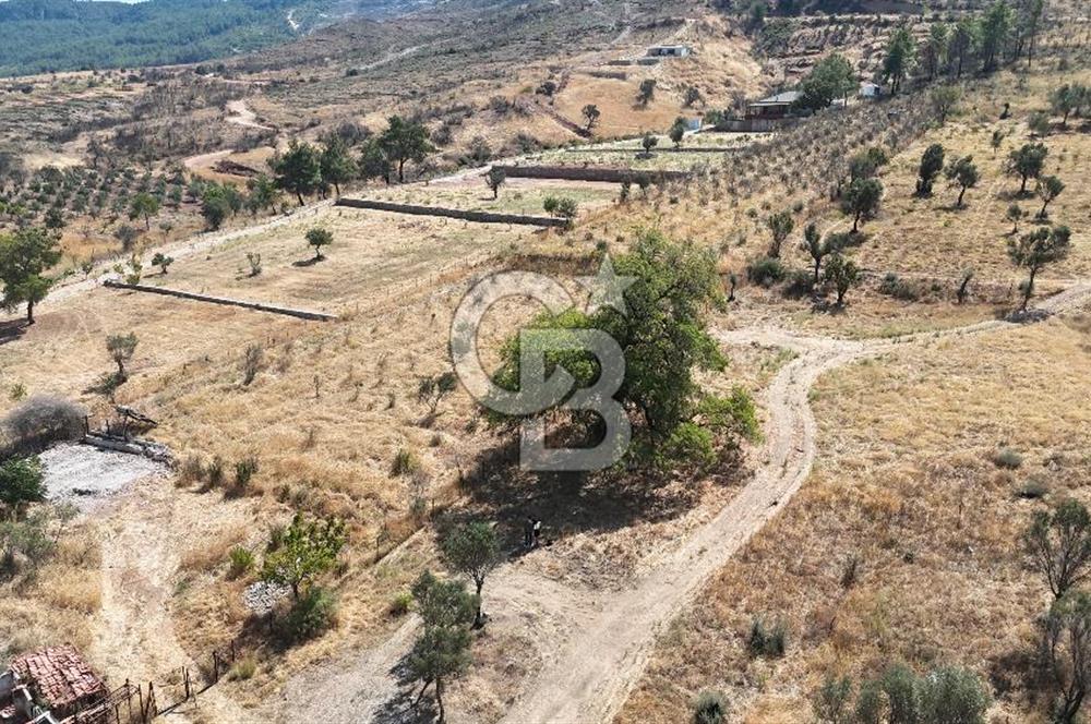 Orhanlıda 6.831m² Tek Tapu Düz Arazi Elektrik + Su