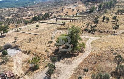 Orhanlıda 6.831m² Tek Tapu Düz Arazi Elektrik + Su