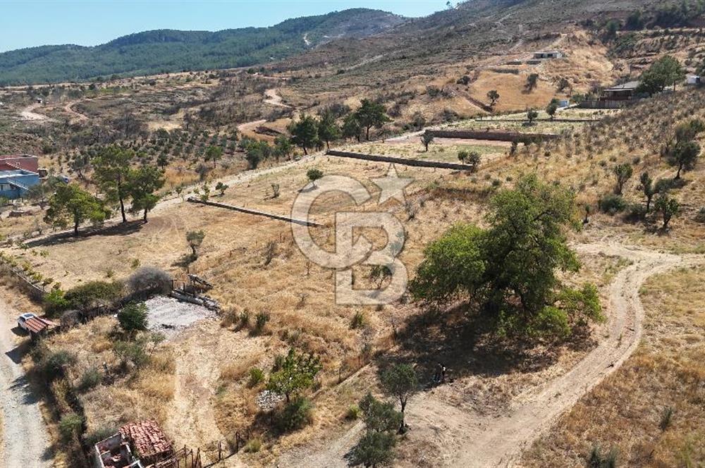 Orhanlıda 6.831m² Tek Tapu Düz Arazi Elektrik + Su