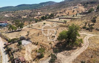 Orhanlıda 6.831m² Tek Tapu Düz Arazi Elektrik + Su