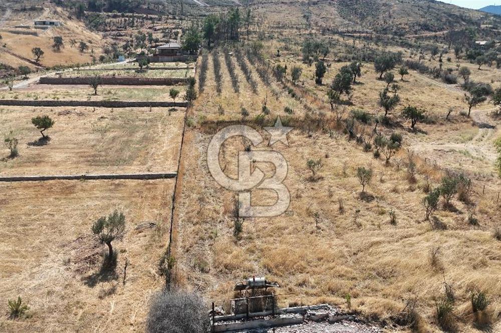 Orhanlıda 6.831m² Tek Tapu Düz Arazi Elektrik + Su