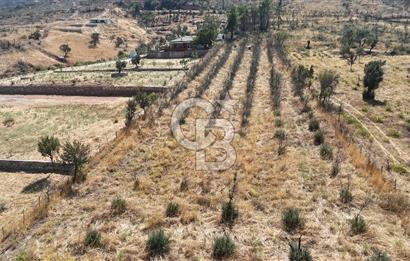 Orhanlıda 6.831m² Tek Tapu Düz Arazi Elektrik + Su