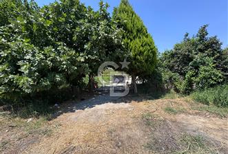 İZMİR MENEMEN YAHŞELLİDE EVİ VE BAHÇESİYLE EŞSİZ SATILIK ARSA - 1 - 373368