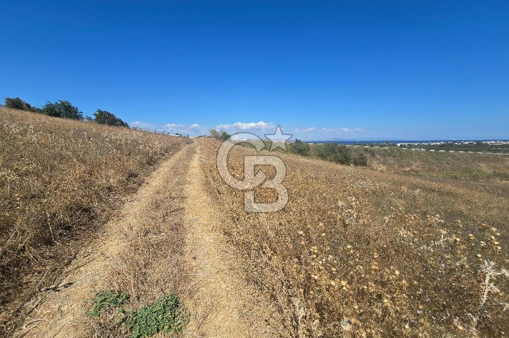 Çanakkale Lapseki Çardak'ta Satılık Deniz Manzaralı Arsa