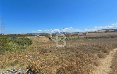 Çanakkale Lapseki Çardak'ta Satılık Deniz Manzaralı Arsa