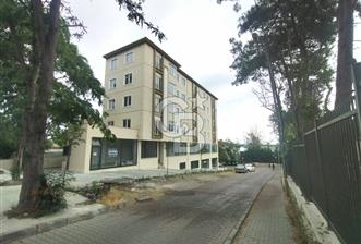 KİRALIK HADIMKÖY MERKEZDE HASTANE KARŞISI 110 M² TİCARİ DÜKKAN - 1 - 373392