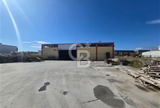 CB ODAK'TAN Menemen Koyundere 6.7 dönüm 1000m² kapalı alan Depo - 9 - 373413