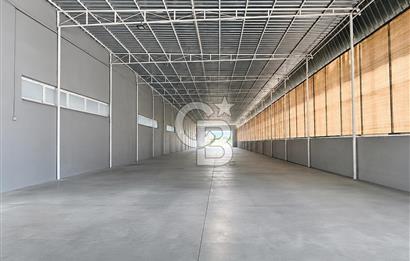 SARNIÇ'TA 4.685 m² BACALI ÜRETİME UYGUN KİRALIK FABRİKA | 400 kW