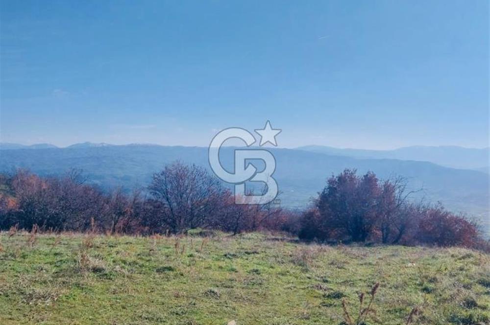 🌿 İZMİR KİRAZ BAŞARAN Mah. 10.945 M² SATILIK TARLA