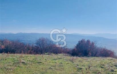 🌿 İZMİR KİRAZ BAŞARAN Mah. 10.945 M² SATILIK TARLA