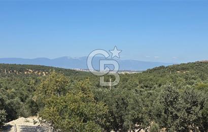 Balıkesir Keremköy'de Satılık Sıfır Villa 