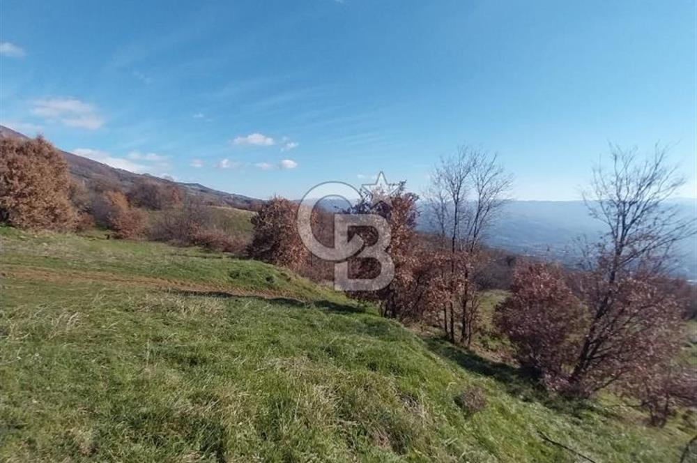 🌿 İZMİR KİRAZ BAŞARAN Mah. 10.945 M² SATILIK TARLA