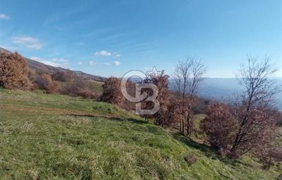 🌿 İZMİR KİRAZ BAŞARAN Mah. 10.945 M² SATILIK TARLA