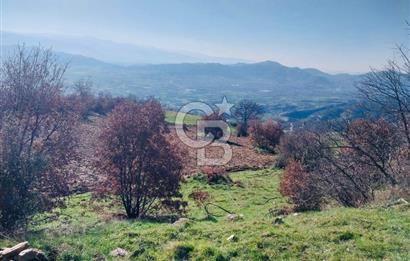 🌿 İZMİR KİRAZ BAŞARAN Mah. 10.945 M² SATILIK TARLA