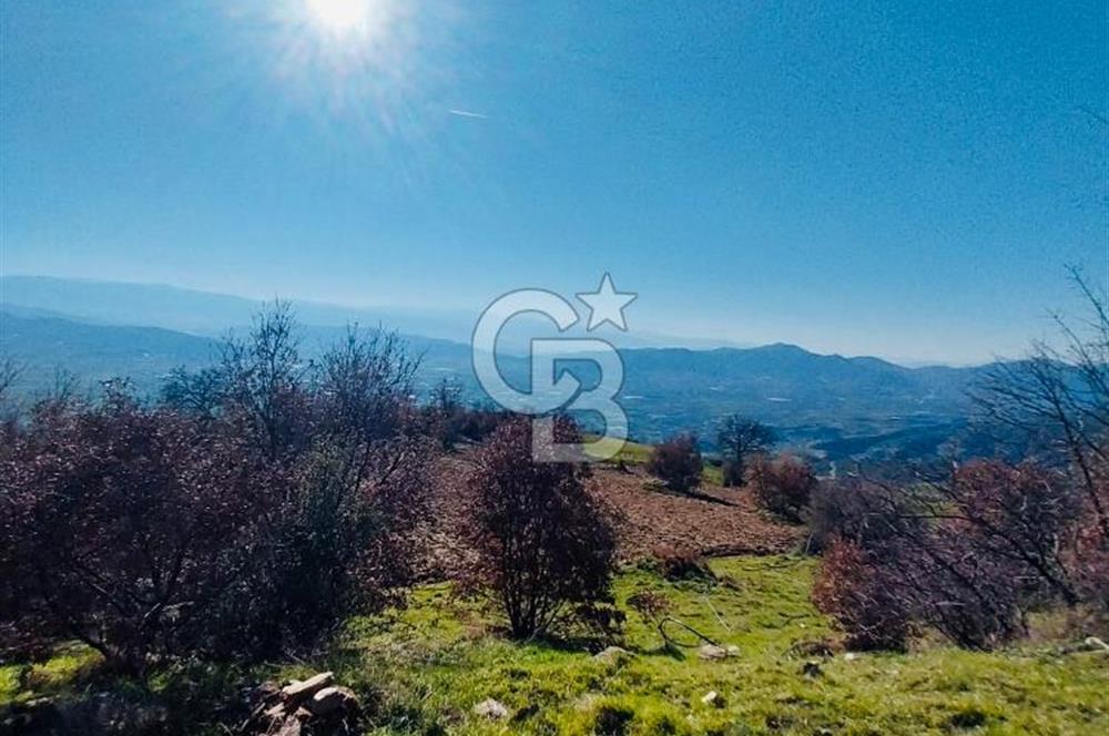 🌿 İZMİR KİRAZ BAŞARAN Mah. 10.945 M² SATILIK TARLA