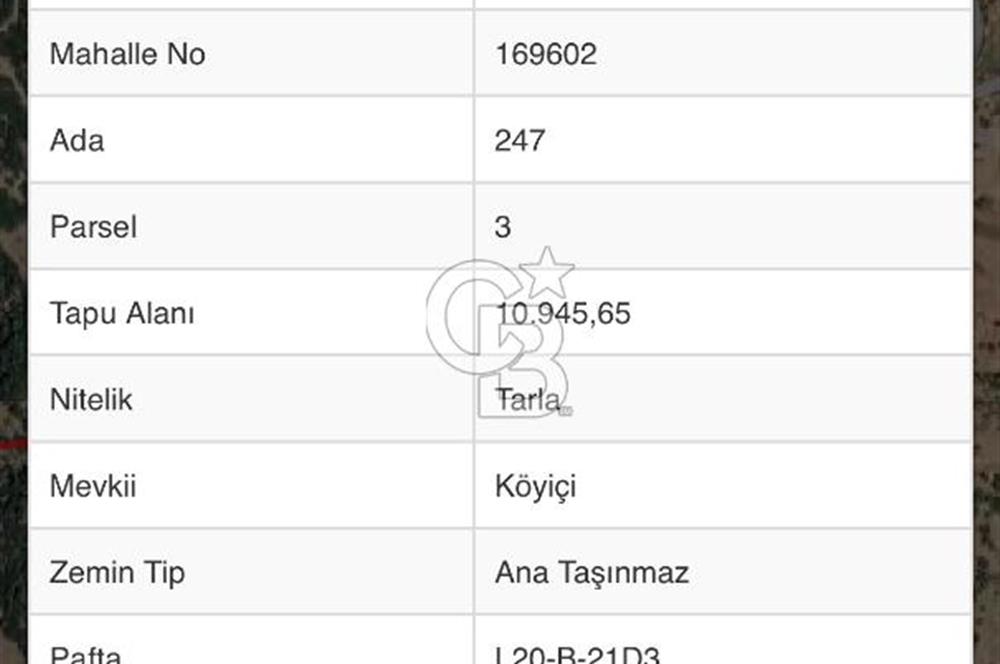 🌿 İZMİR KİRAZ BAŞARAN Mah. 10.945 M² SATILIK TARLA