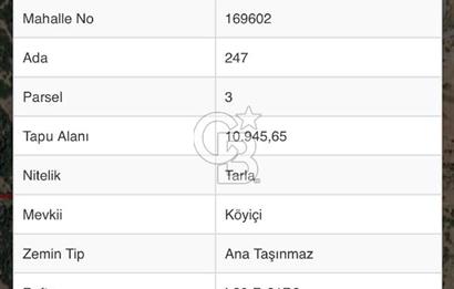 🌿 İZMİR KİRAZ BAŞARAN Mah. 10.945 M² SATILIK TARLA