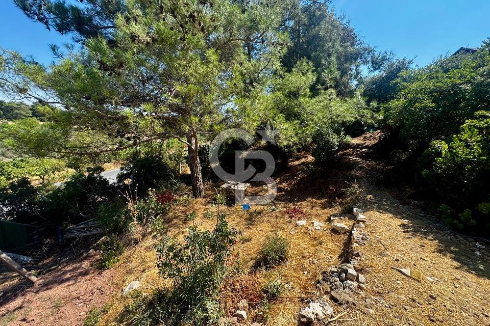 Belenbaşı'da Doğanın İçinde, Şehre 15dk, 420m2 Arsa | 80m2 Ev