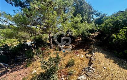 Belenbaşı'da Doğanın İçinde, Şehre 15dk, 420m2 Arsa | 80m2 Ev