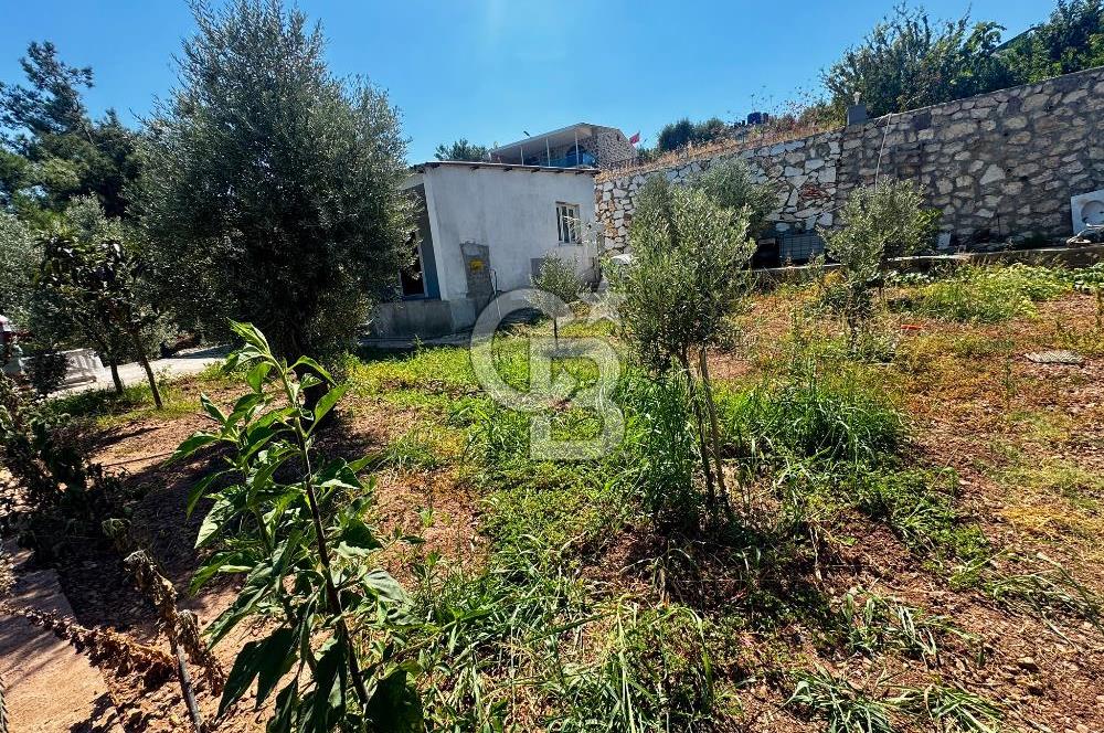 Belenbaşı'da Doğanın İçinde, Şehre 15dk, 420m2 Arsa | 80m2 Ev