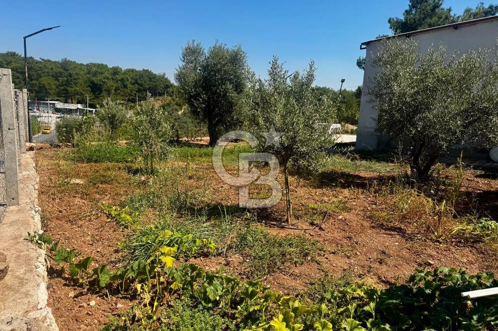 Belenbaşı'da Doğanın İçinde, Şehre 15dk, 420m2 Arsa | 80m2 Ev