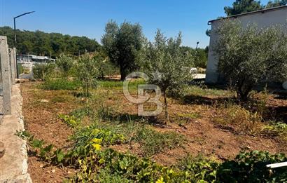 Belenbaşı'da Doğanın İçinde, Şehre 15dk, 420m2 Arsa | 80m2 Ev