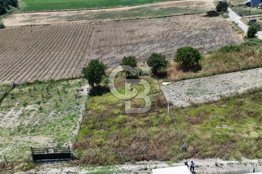Değirmenderede 546 m² Rızai Taksimli Çitli Yola Cepheli Tarla