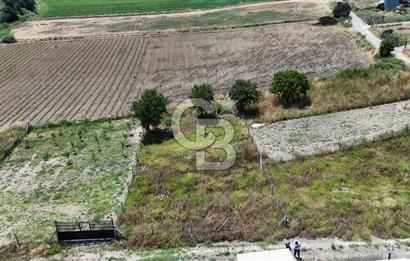 Değirmenderede 546 m² Rızai Taksimli Çitli Yola Cepheli Tarla