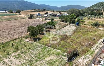 Değirmenderede 546 m² Rızai Taksimli Çitli Yola Cepheli Tarla