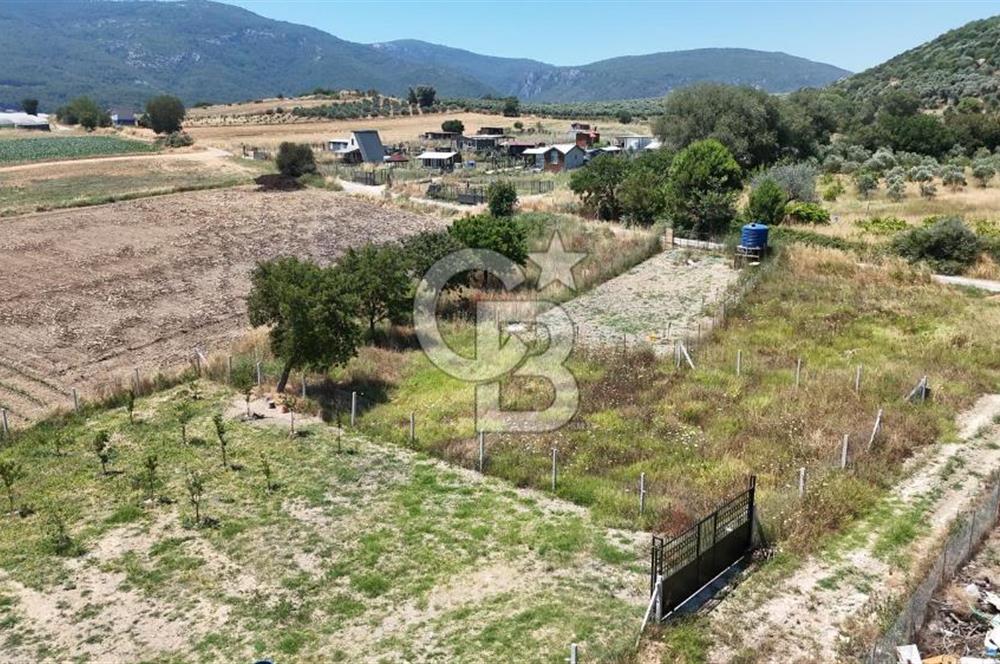 Değirmenderede 546 m² Rızai Taksimli Çitli Yola Cepheli Tarla