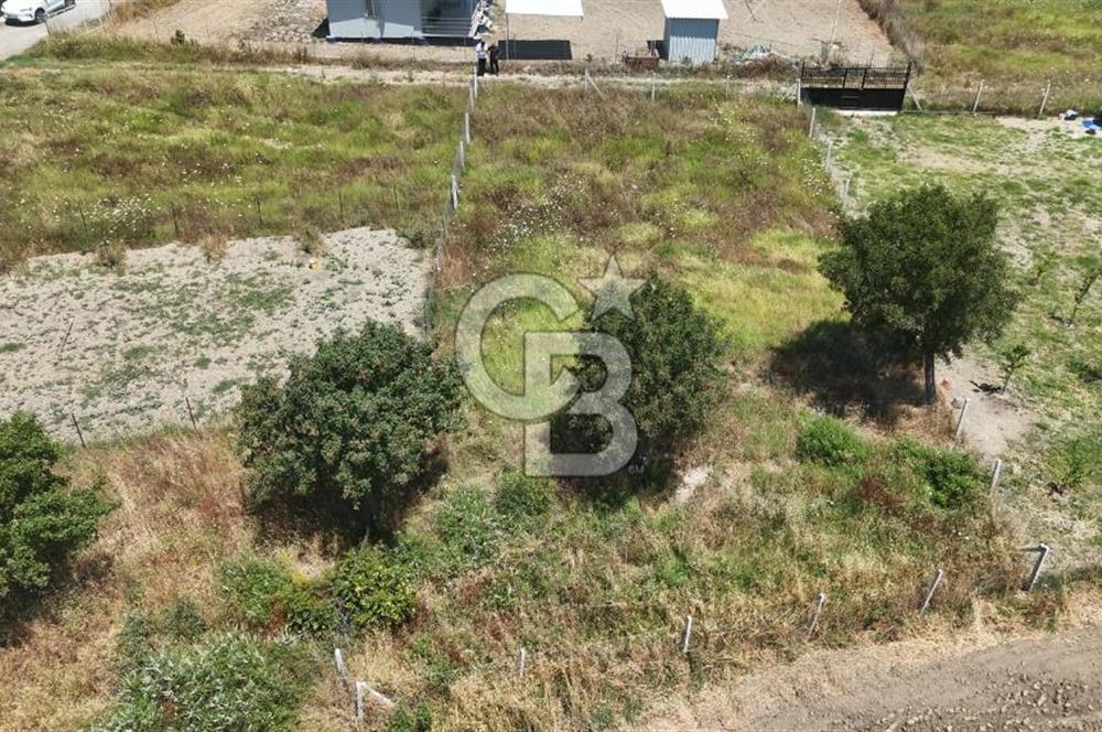 Değirmenderede 546 m² Rızai Taksimli Çitli Yola Cepheli Tarla