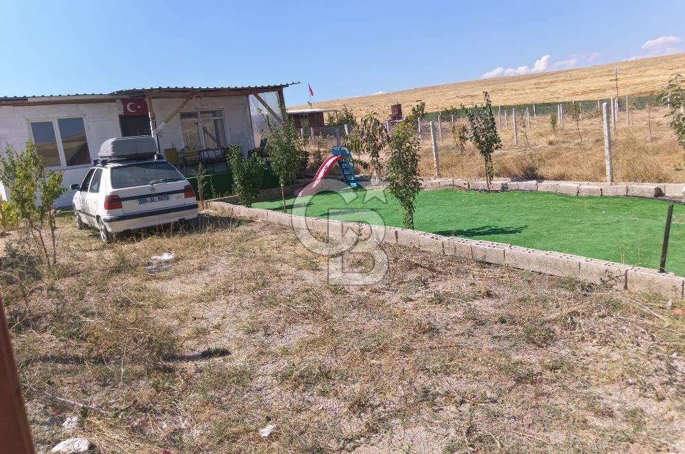 Akyurt Cücük'te Eşyalı Hazır Yaşam Alanı ve Meyve Bahçesi