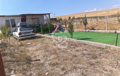 Akyurt Cücük'te Eşyalı Hazır Yaşam Alanı ve Meyve Bahçesi