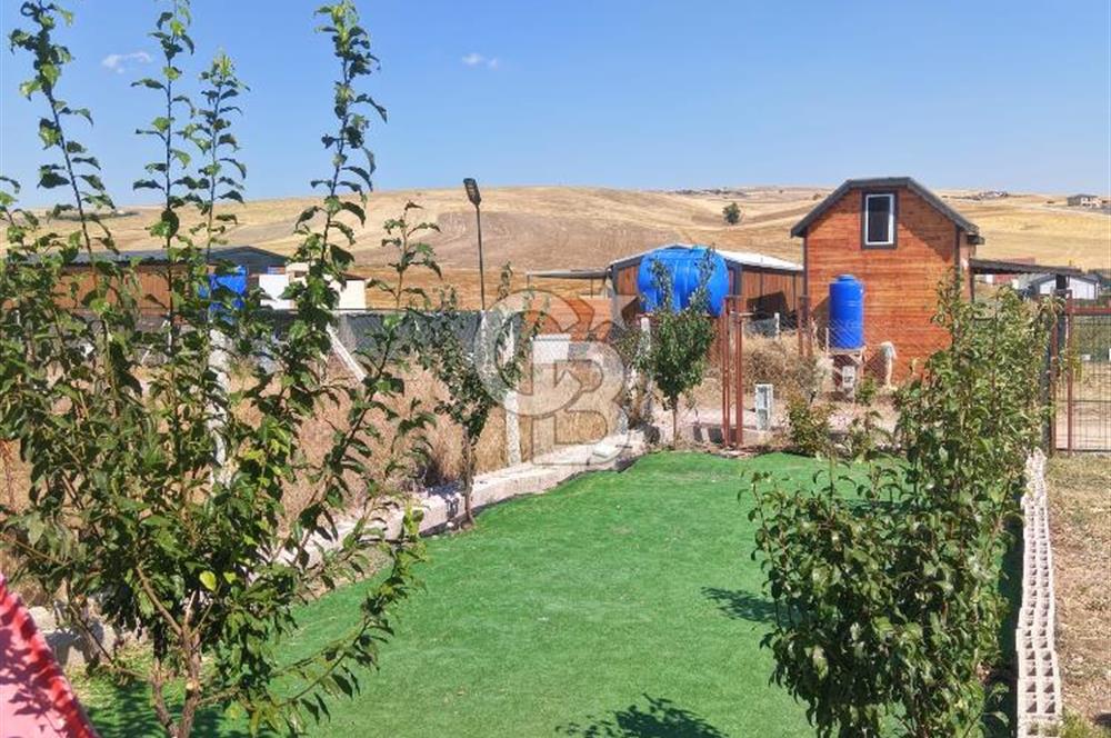 Akyurt Cücük'te Eşyalı Hazır Yaşam Alanı ve Meyve Bahçesi