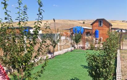 Akyurt Cücük'te Eşyalı Hazır Yaşam Alanı ve Meyve Bahçesi