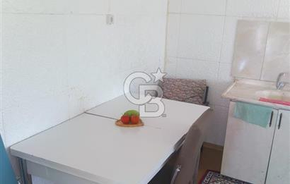 Akyurt Cücük'te Eşyalı Hazır Yaşam Alanı ve Meyve Bahçesi