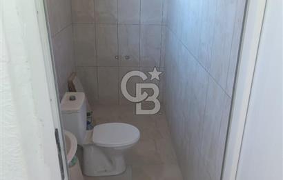 Akyurt Cücük'te Eşyalı Hazır Yaşam Alanı ve Meyve Bahçesi